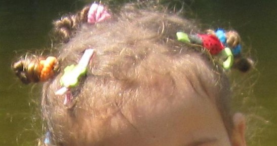 These were left in over night and then we went to a pond in the morning.