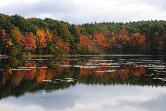 View from a local causeway