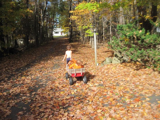 Beautiful days for playing without a care.