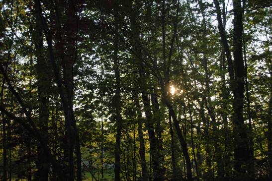 11187149_10204282770930465_7373847770338070608_o