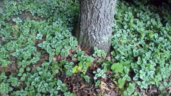 zba8Zx750ifQcF5kz6N0kbPCmNLnKdmcK-WjNGX-OkB4ksSxTTJ