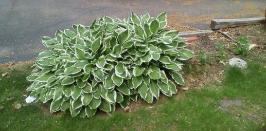 ze7jcjPnuZPu3PbdlCo2_gtuVyByz5Op9g3IE2wOMpj4LAYspN