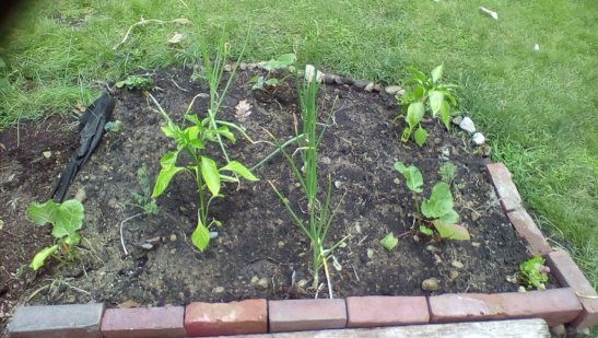 zFPKLZ8TxdPN9Jwf8s0XuwRkWOrmWKuh2aMHxo66aKKwsSxTTJ