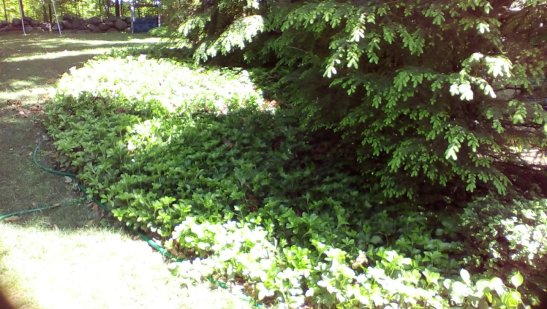 zMbTnfM7f8IySFojKAQVnBNOrWPr12B2DKMMUSImV6RoLAYspN