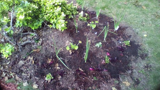 zXGYp58reaqMGyLZH96N3QVVYwbBj4NQVIJxqHrZn0KwsSxTTJ