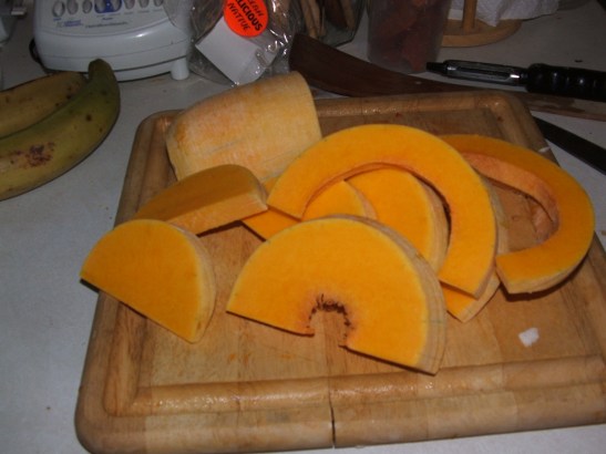 butternut squash dscf2271